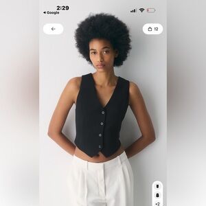 Babaton Black Button Down Vest